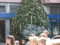 k-IMG_9562.JPG