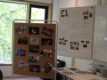 kulturtag37