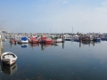 k-IMG_2691