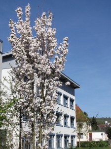 b3