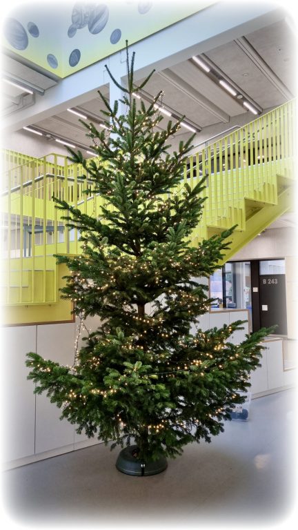 Weihnachtsbaum 2025_2_glow